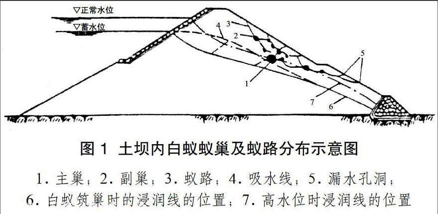 中山白蟻防治施工方案